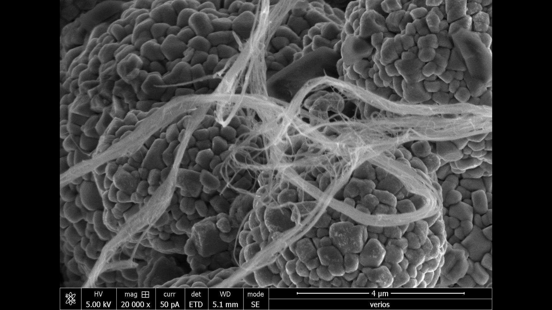Могут ли углеродные нанотрубки увеличить энергетическую плотность в клетках?  CENS говорит да