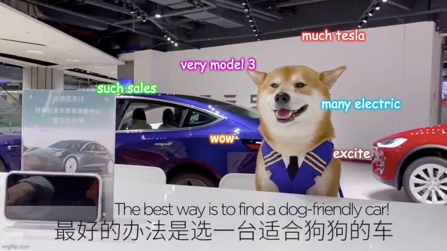 Абсолютно идеальная реклама Tesla Model 3 ‘doge’ — любовное письмо любителям животных