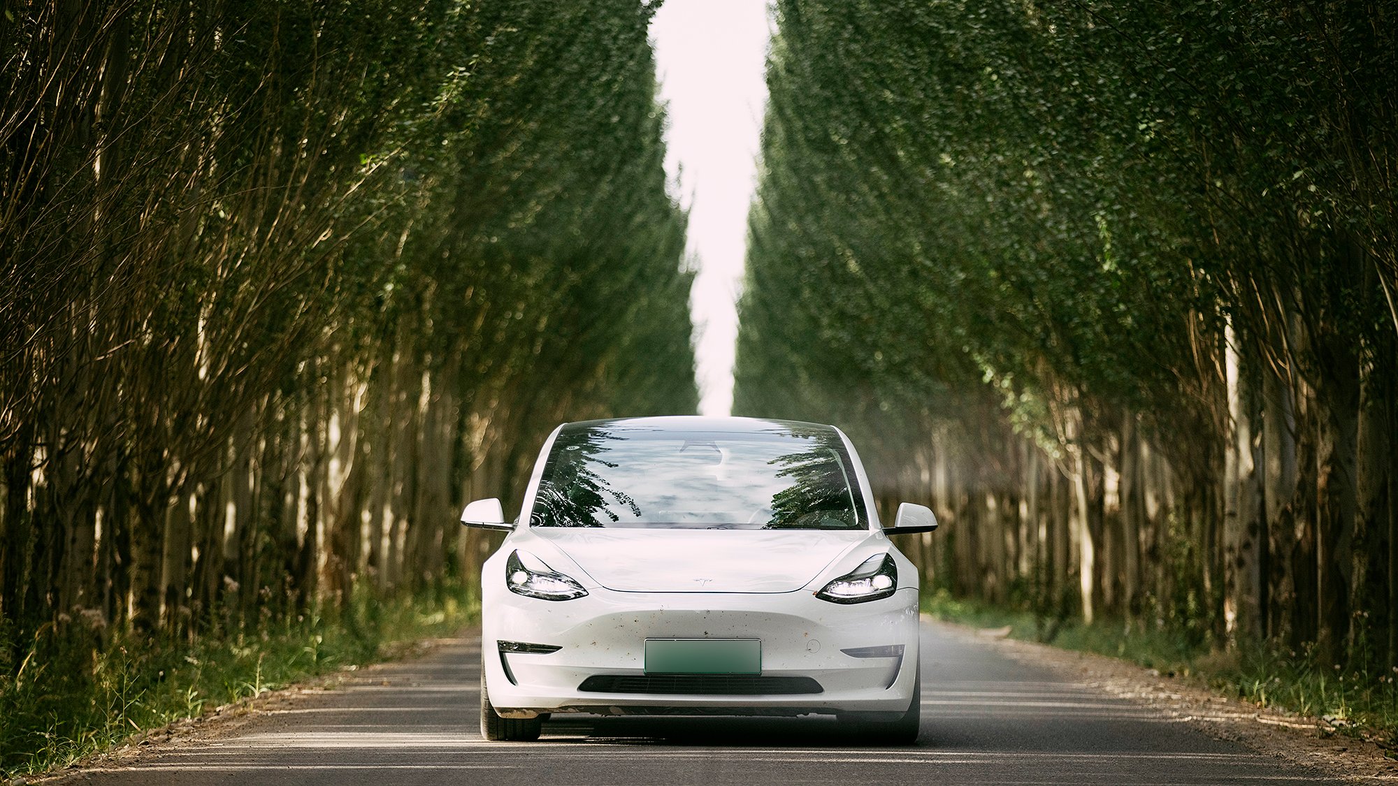 Tesla China подала в суд на протестующего против Model 3 за клевету