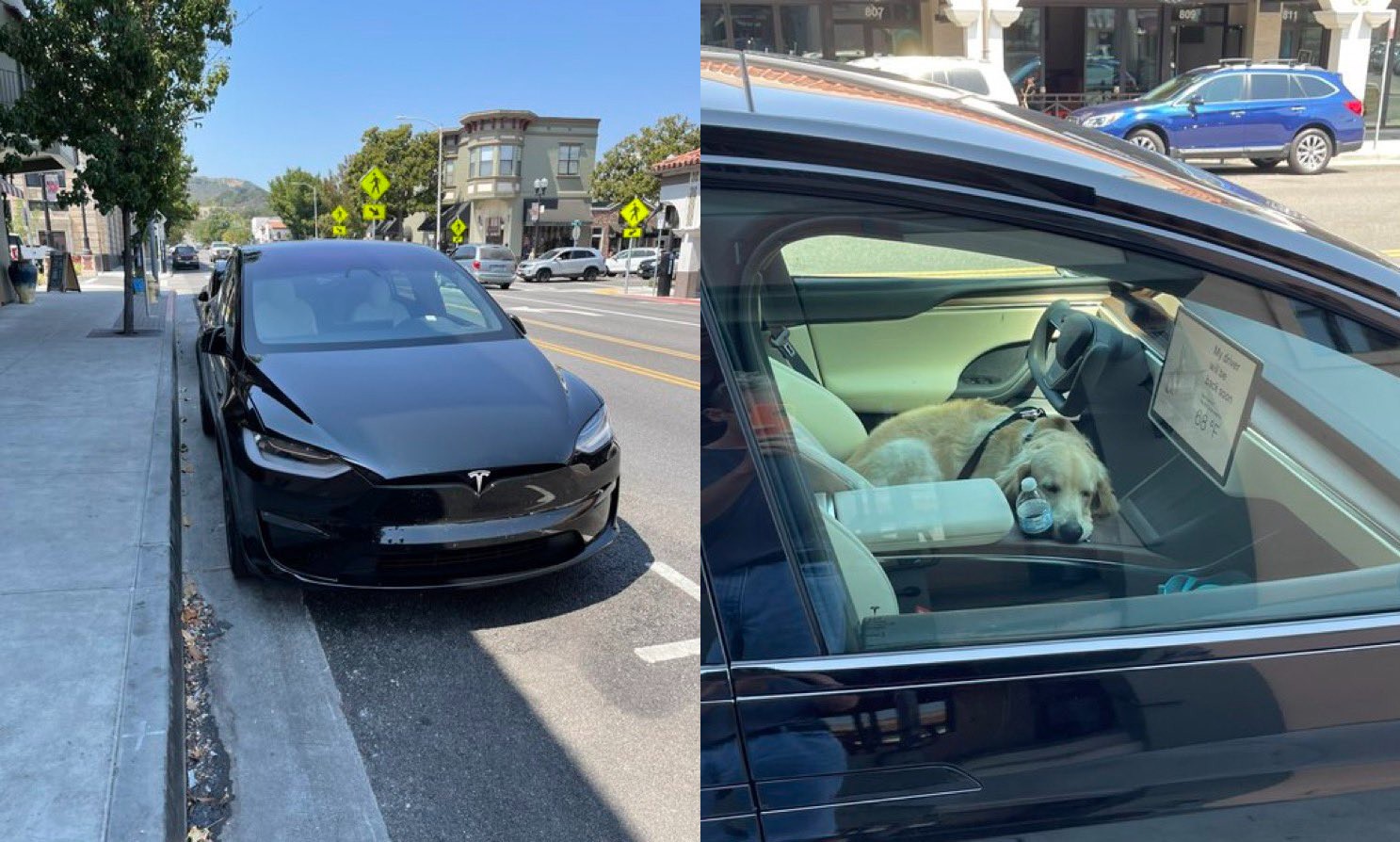 Tesla Model X Plaid замечена для тестирования режима собаки в дикой природе