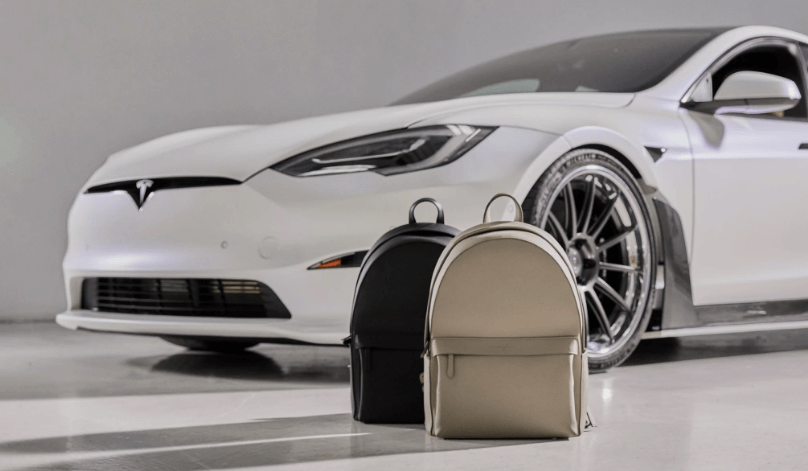 Фон Хольцхаузен раздает веганский кожаный рюкзак для поклонников Tesla