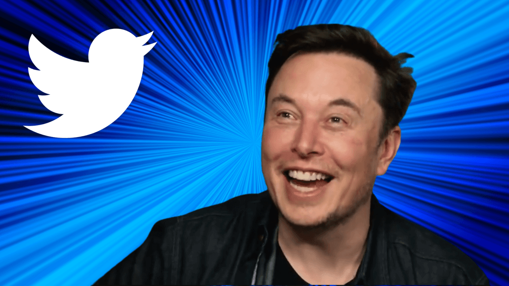 Elon Musk: Ketua Twit