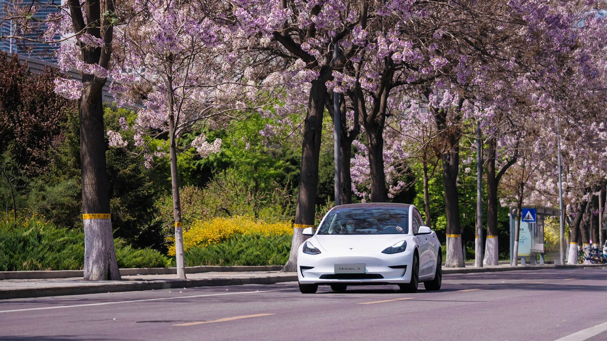 Tesla China зафиксировала 12 800 страховых случаев за четвертую неделю мая