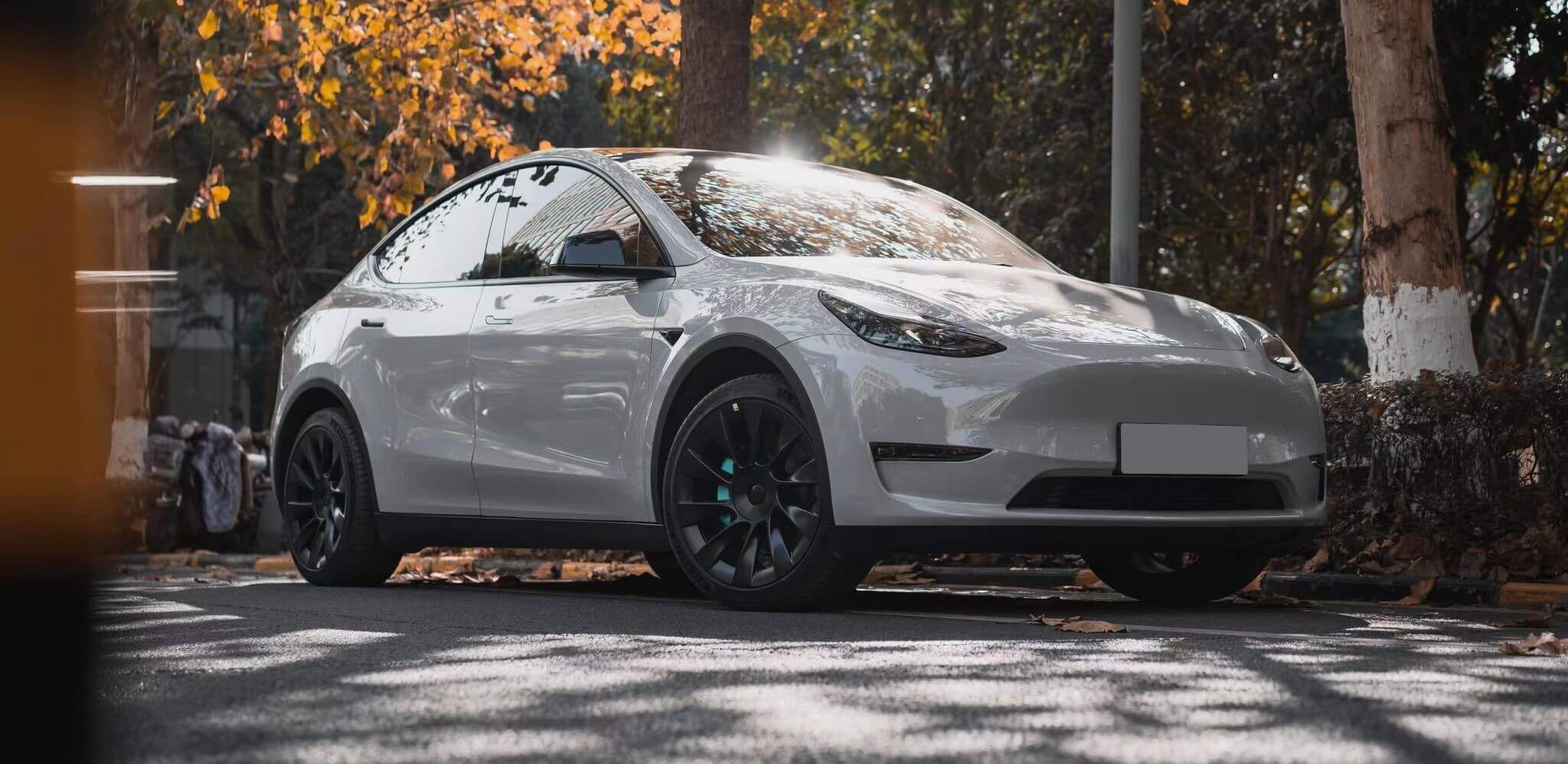 ارتفع سهم Tesla بسبب إدراج الائتمان الضريبي ، واستمرار الارتفاع في الستراتوسفير في عام 2023