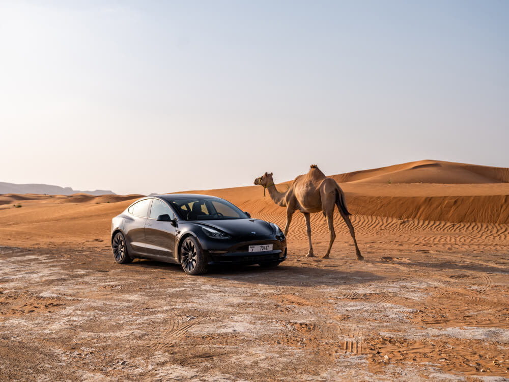 Tesla делает скидку на Model 3, соблазняя покупателей своим самым доступным предложением