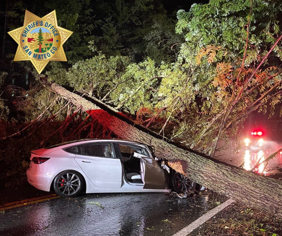Tesla Model 3 обеспечивает безопасность пассажиров после столкновения с упавшим деревом